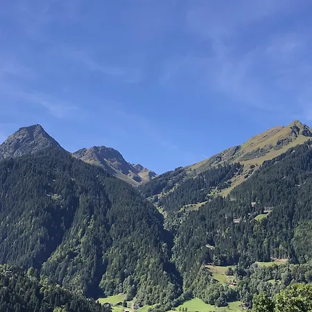 Scheimersch