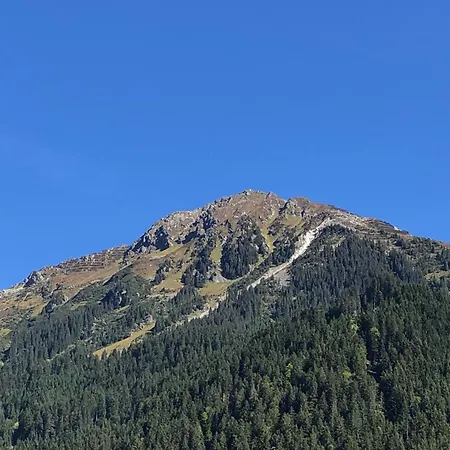 Scheimersch *